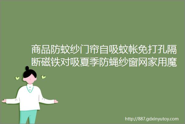 商品防蚊纱门帘自吸蚊帐免打孔隔断磁铁对吸夏季防蝇纱窗网家用魔术贴